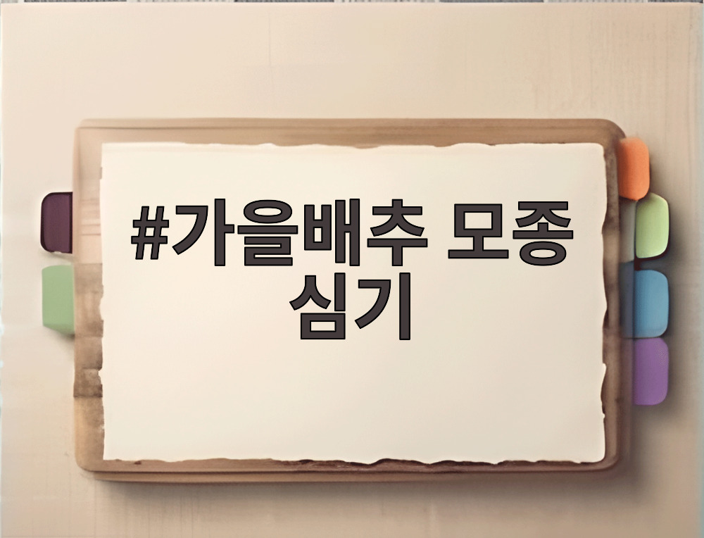 가을배추 모종 심기
