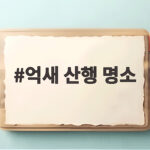 억새 산행 명소