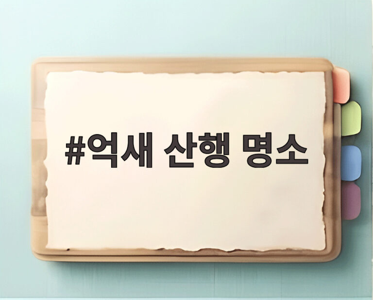 억새 산행 명소