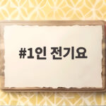 1인 전기요 혼자 쓰는 침대에 이렇게 좋을 줄 정말 몰랐습니다 1인 전기요