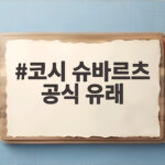 코시 슈바르츠 공식 유래