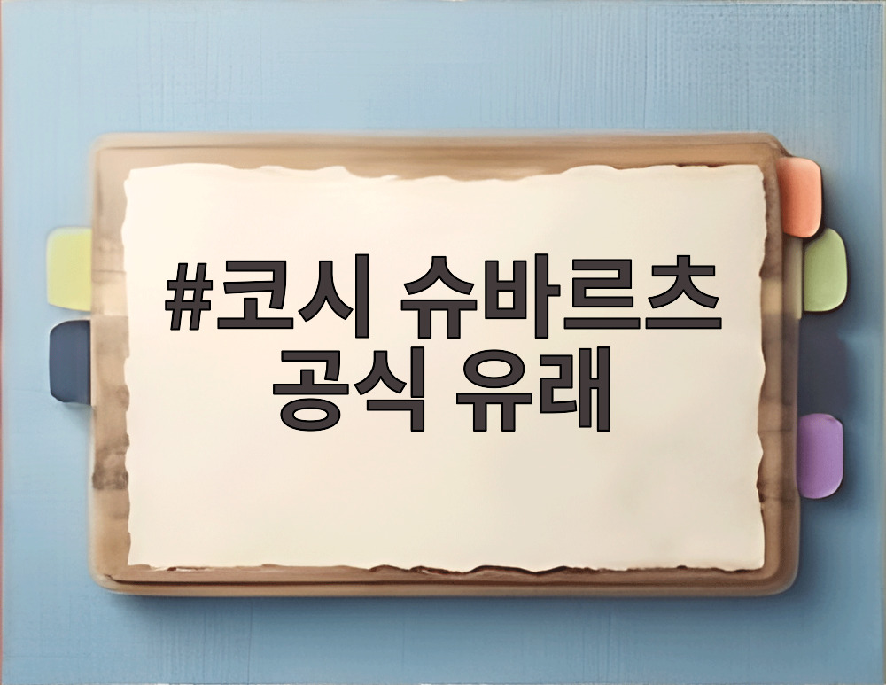 코시 슈바르츠 공식 유래