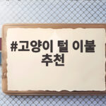고양이 털 이불 추천
