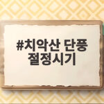 치악산 단풍 절정시기