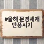 올해 문경새재 단풍시기