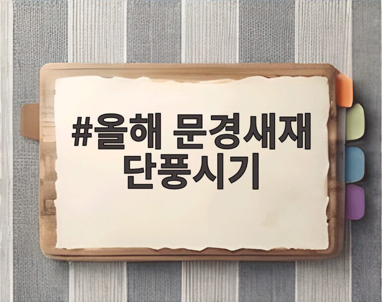 올해 문경새재 단풍시기