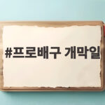 프로배구 개막일