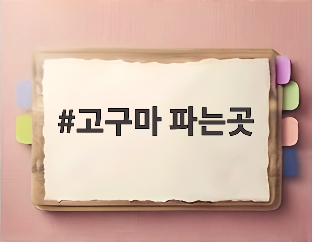 고구마 파는곳