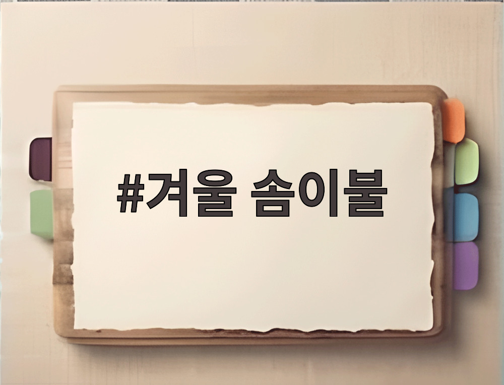 겨울 솜이불