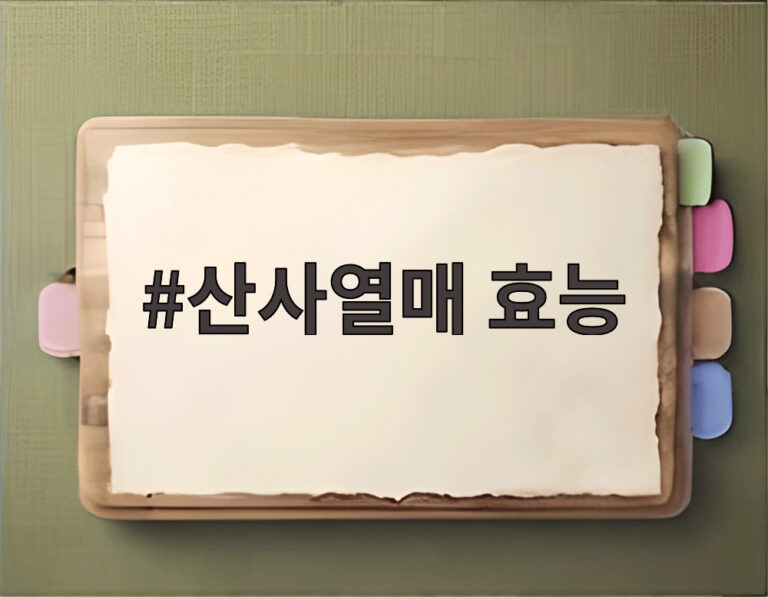 산사열매 효능