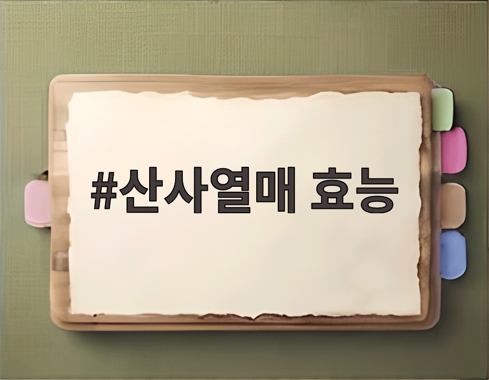 산사열매 효능