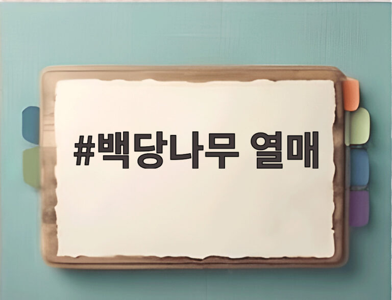 백당나무 열매