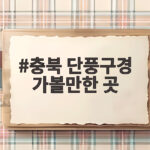 충북 단풍구경 가볼만한 곳