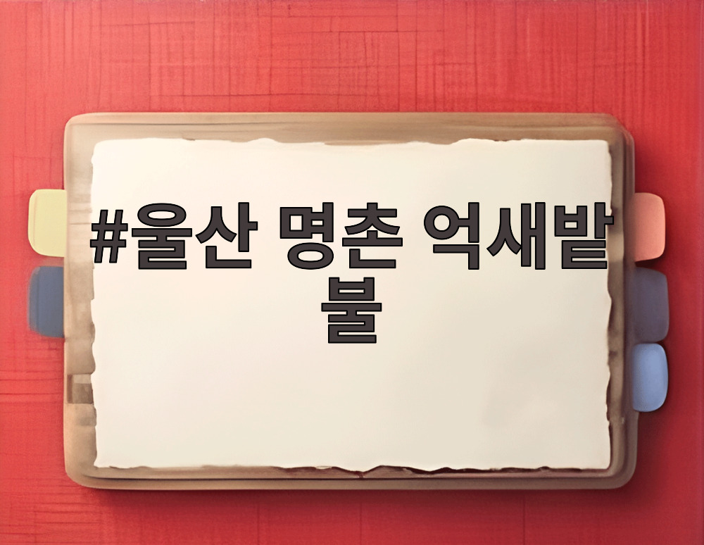 울산 명촌 억새밭 불