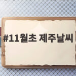 11월초 제주날씨 이렇게 다르다? 여행 전 꼭 확인할 옷차림 11월초 제주날씨