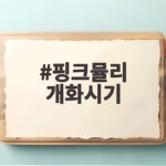 핑크뮬리 개화시기 2026 절정 시기 전국 명소와 사진 촬영 팁 핑크뮬리 개화시기