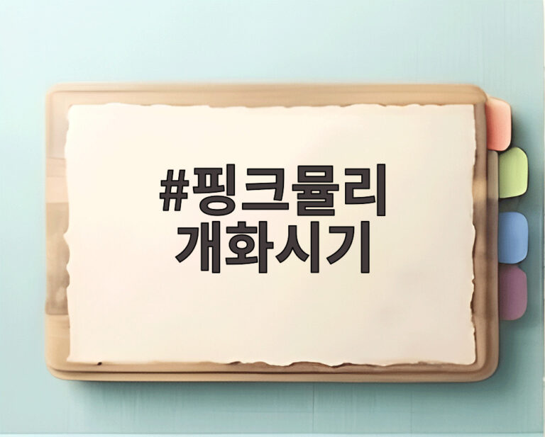 핑크뮬리 개화시기