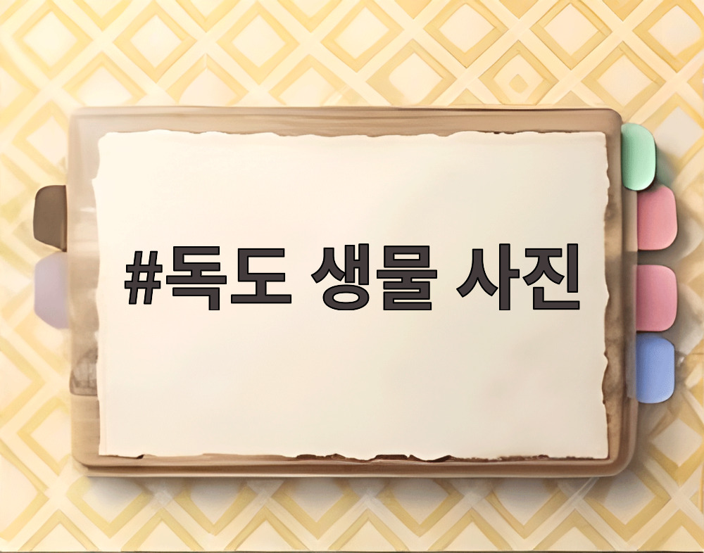 독도 생물 사진