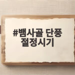 뱀사골 단풍 절정시기 놓치면 아쉬운 계절입니다 뱀사골 단풍 절정시기