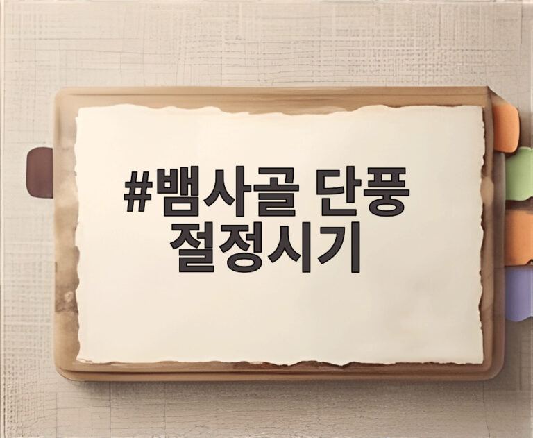 뱀사골 단풍 절정시기