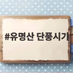 유명산 단풍시기 언제가 좋을까 2026 절정 일정 정리 유명산 단풍시기