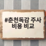 춘천독감 주사 비용 비교