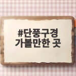 단풍구경 가볼만한 곳