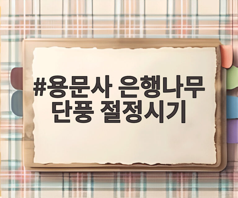 용문사 은행나무 단풍 절정시기