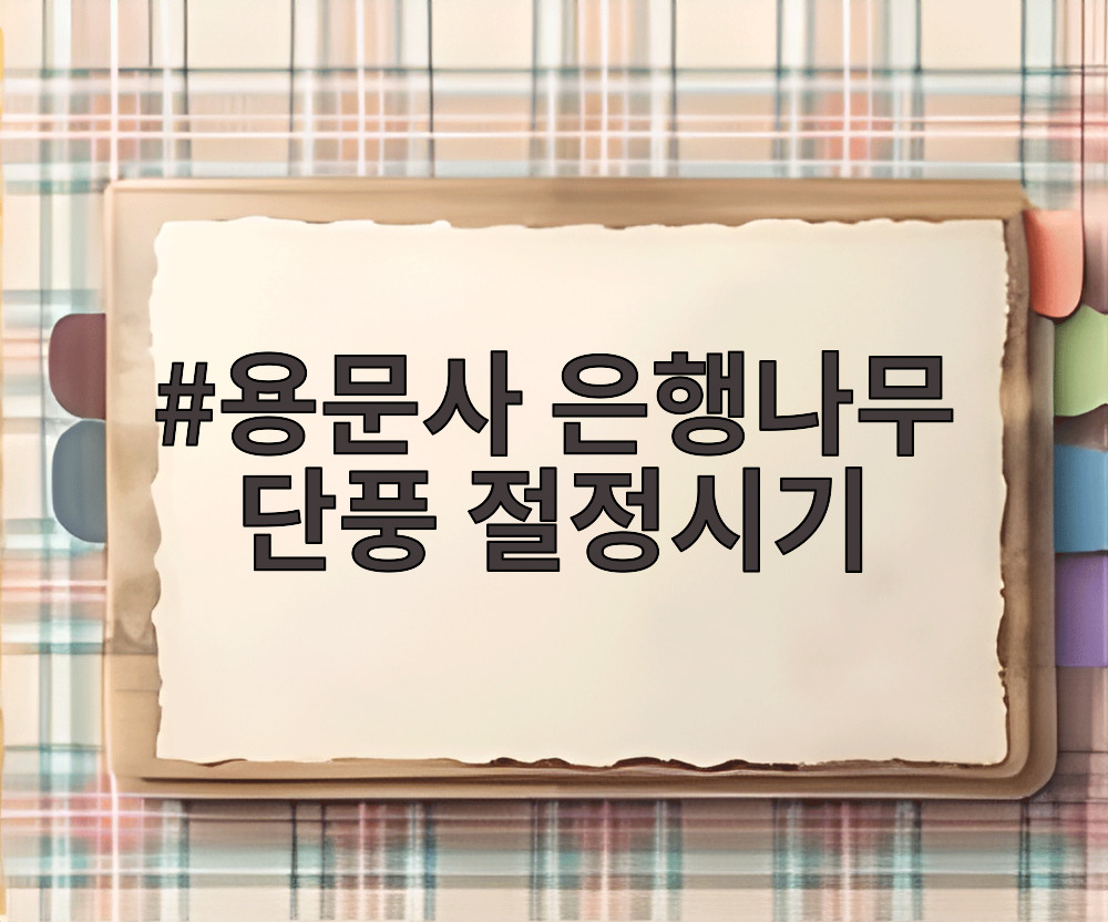 용문사 은행나무 단풍 절정시기