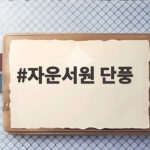 자운서원 단풍