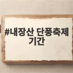 내장산 단풍축제 기간 2026년 절정 시기와 방문 꿀팁 내장산 단풍축제 기간