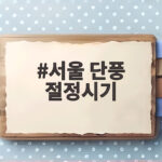서울 단풍 절정시기 언제가 가장 알록달록할까 궁금하다면 서울 단풍 절정시기