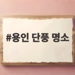 용인 단풍 명소