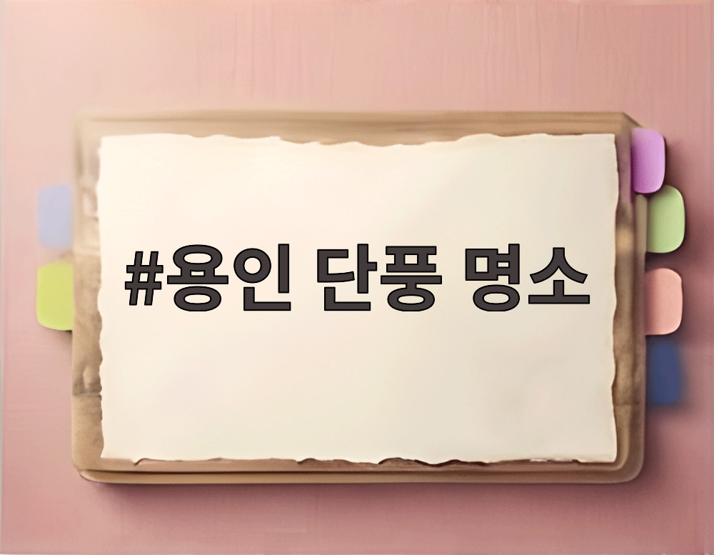 용인 단풍 명소