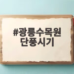 광릉수목원 단풍시기 늦기 전에 봐야 하는 진짜 이유 광릉수목원 단풍시기