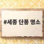세종 단풍 명소