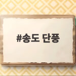 송도 단풍