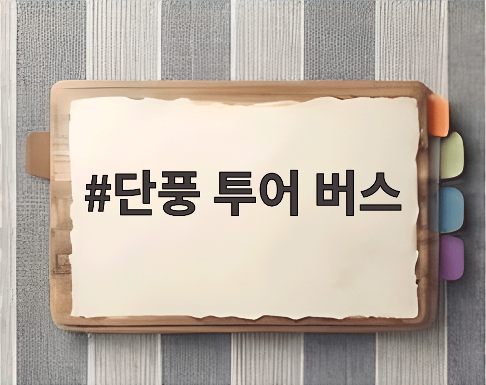 단풍 투어 버스