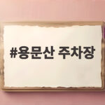 용문산 주차장 사전정산으로 출차 줄 없이 다녀오는 방법 용문산 주차장