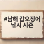 남해 갑오징어 낚시 시즌