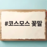 코스모스 꽃말