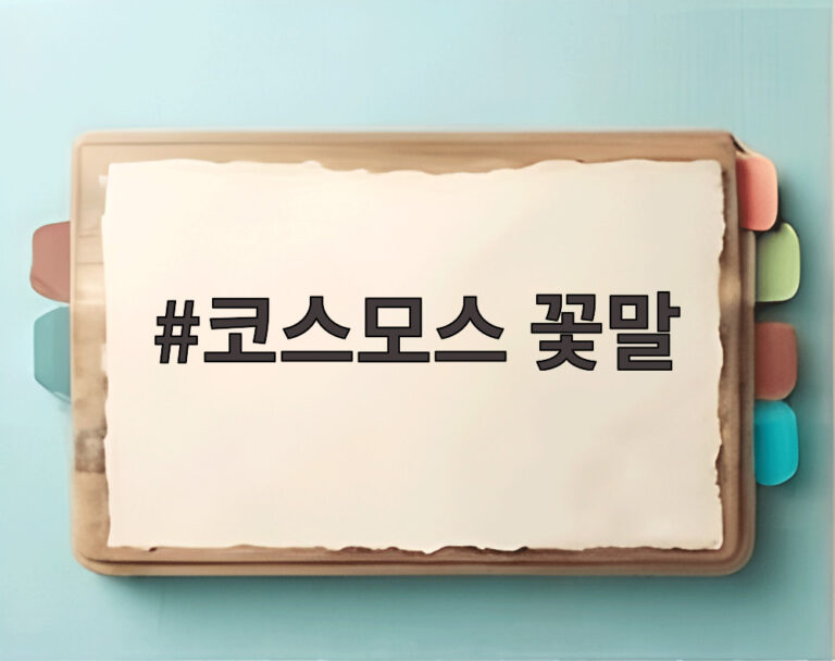 코스모스 꽃말