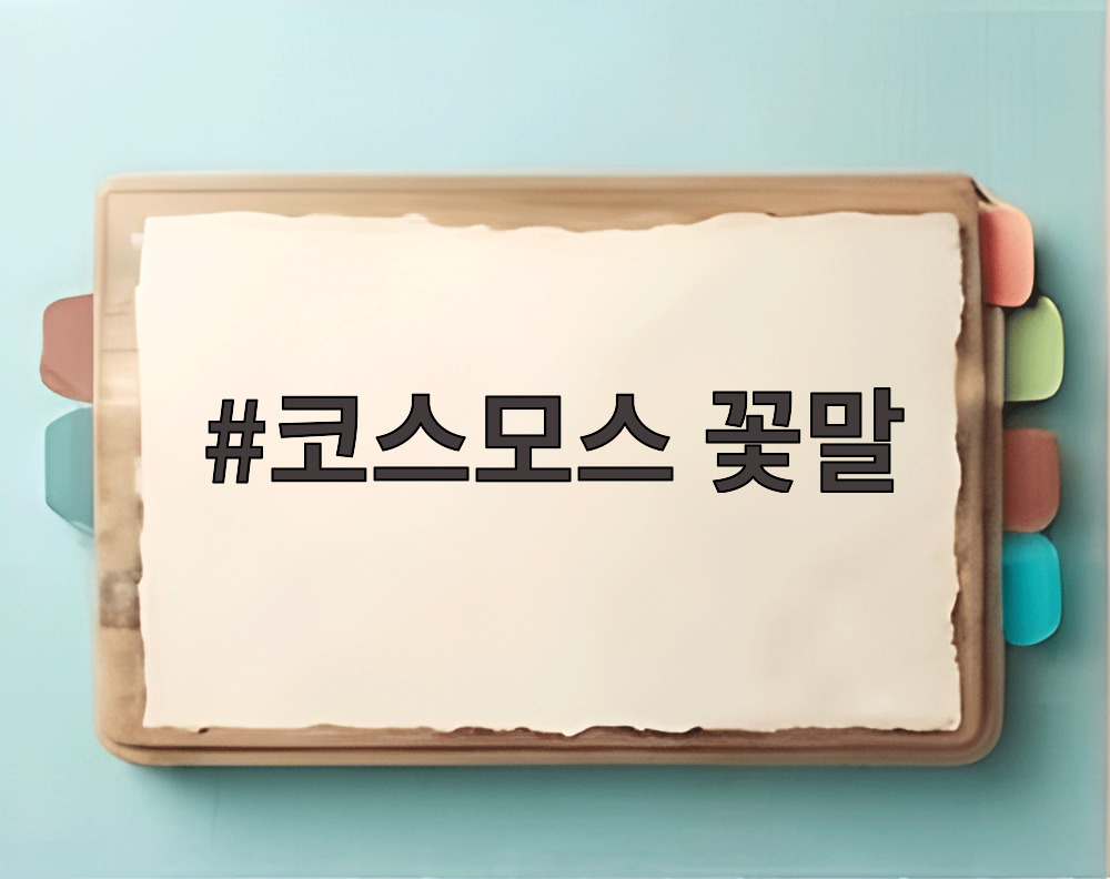 코스모스 꽃말
