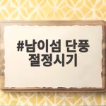남이섬 단풍 절정시기