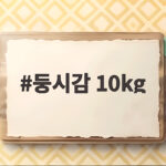 둥시감 10kg