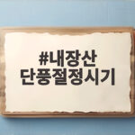 내장산 단풍절정시기 놓치면 일년을 후회합니다 내장산 단풍절정시기