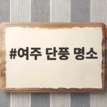 여주 단풍 명소 강천섬 은행나무길 절정 시기와 주차 팁 여주 단풍 명소