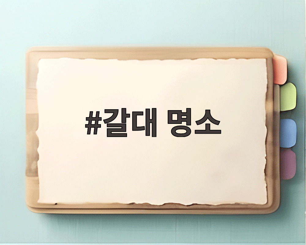갈대 명소