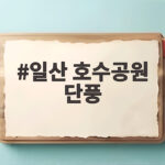 일산 호수공원 단풍