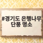 경기도 은행나무 단풍 명소